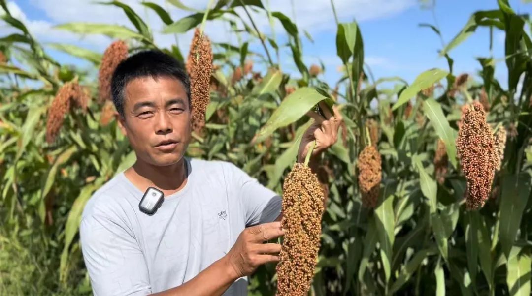 连环夺宝下载注册送分